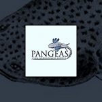 cfp revista pangeas