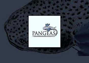 cfp revista pangeas